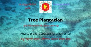 composition tree plantation